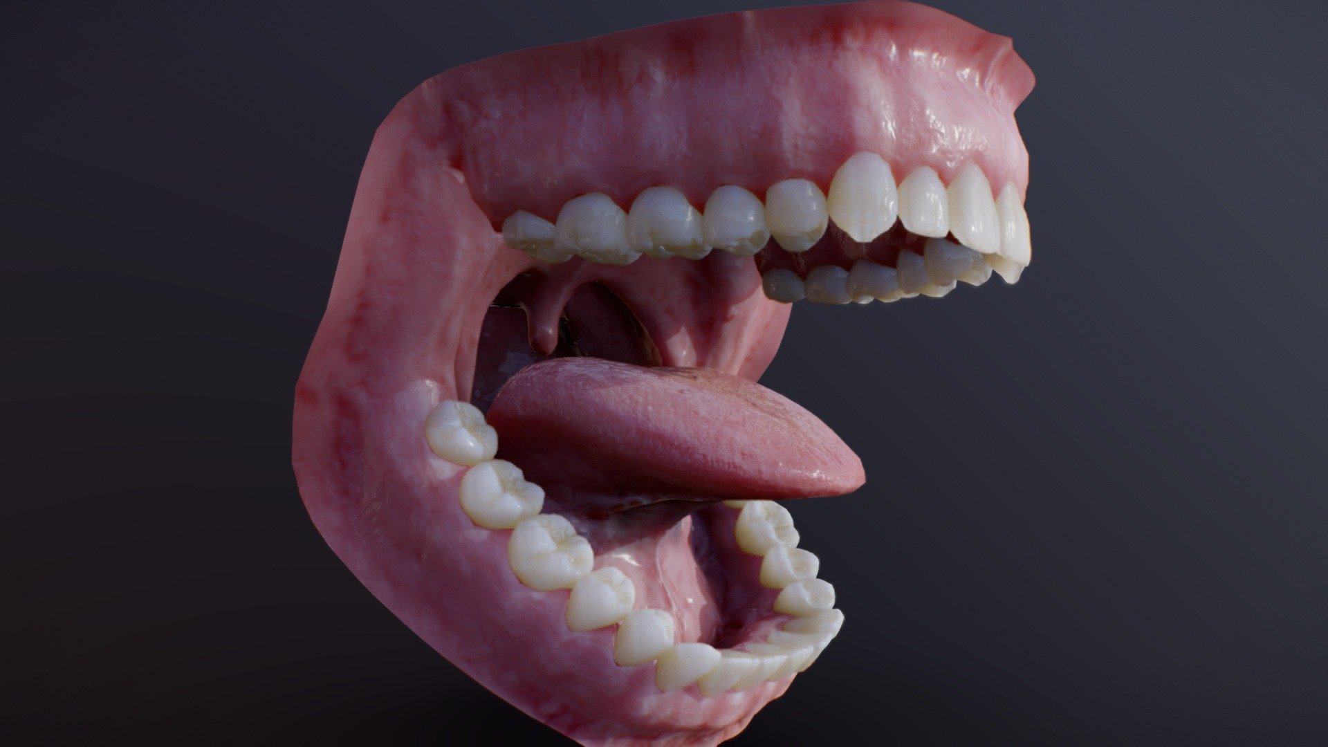 Photorealistic Human Mouth Buy Royalty Free 3d Model By Cesar Salcedo