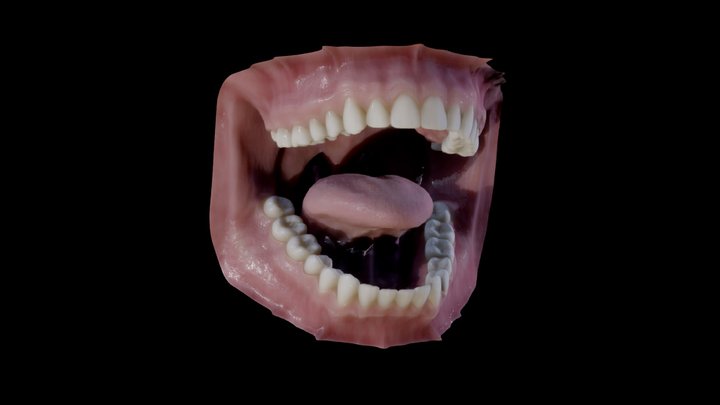 Photorealistic human mouth 3D Model