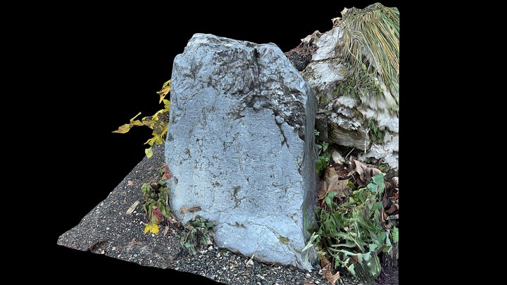 Pierre à sabot Saint-Cergue – Modello 3D gratuito STL