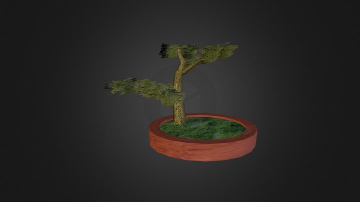 Bonsai 3D Model