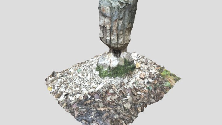 Tree felling by beavers 3D Model