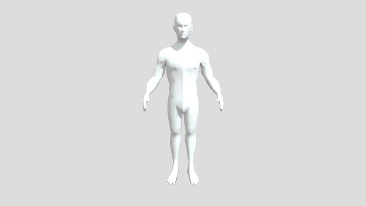 Human-ecorche 3D Model