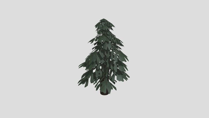 Pine tree 3D Model