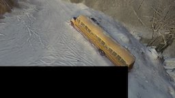 Hs11