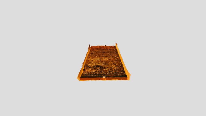 2026.05作成　園生貝塚剥取断面　観察記録3Dモデル – Free 3D Model STL