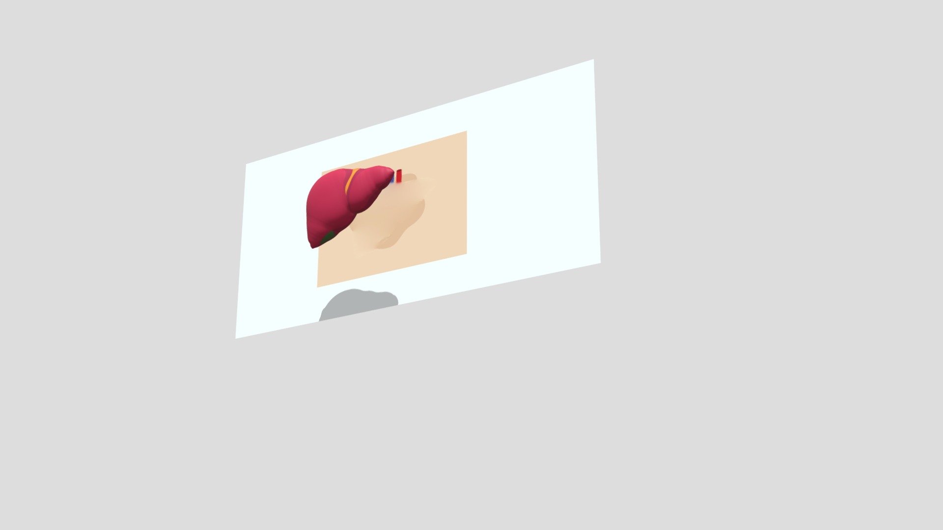 3D Heart