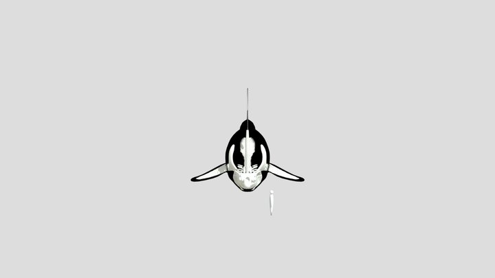megalodon skeletal 3D Model