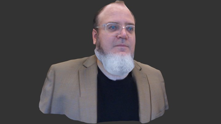 portrait with full grey beard 3D Model