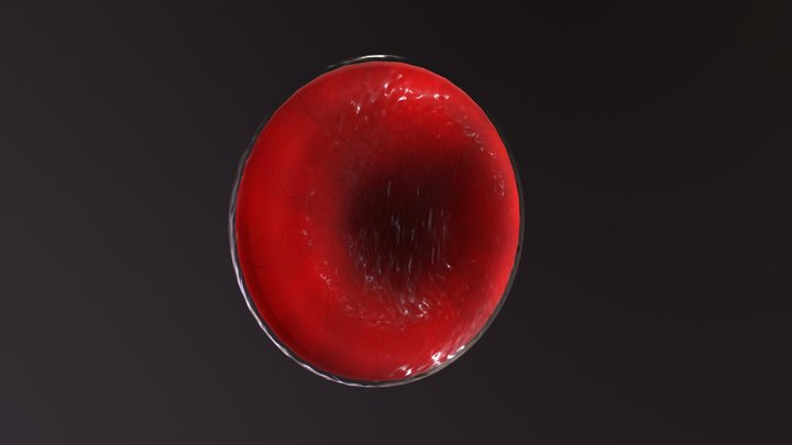 Normal Red Blood Cell 3D Model
