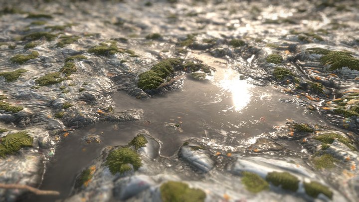 Stone Oxy Moss Water 01 – Modello 3D gratuito STL