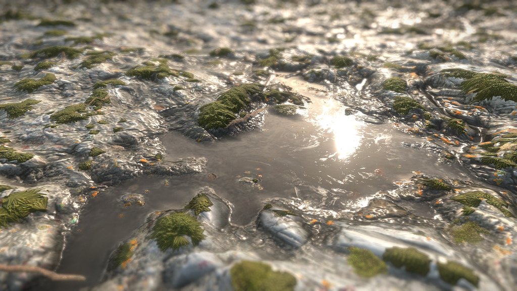Stone Oxy Moss Water 01
