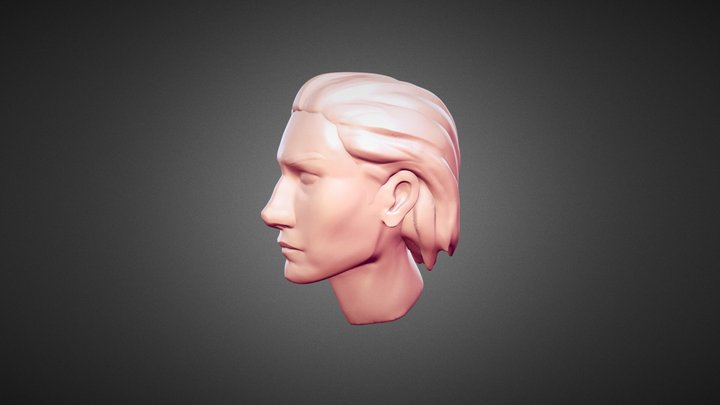 Avalar 3D Model