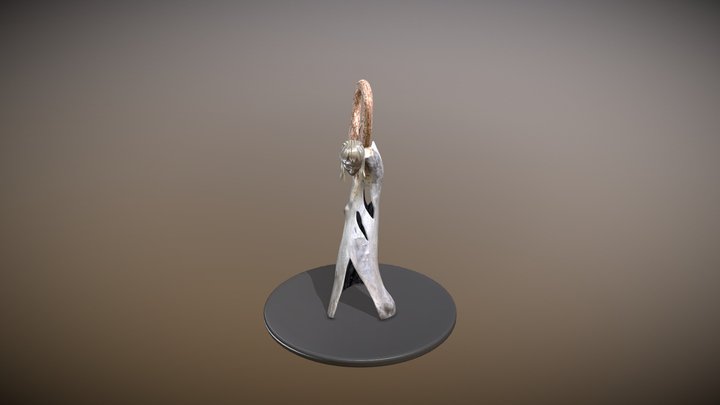 Şahmaran 3D Model