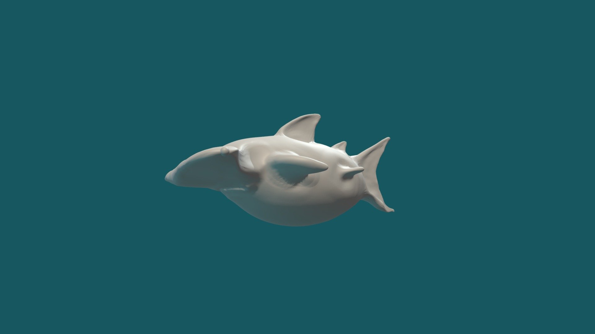 Hammer Fat Shark / TUBARAO MARTELO GORDINHO