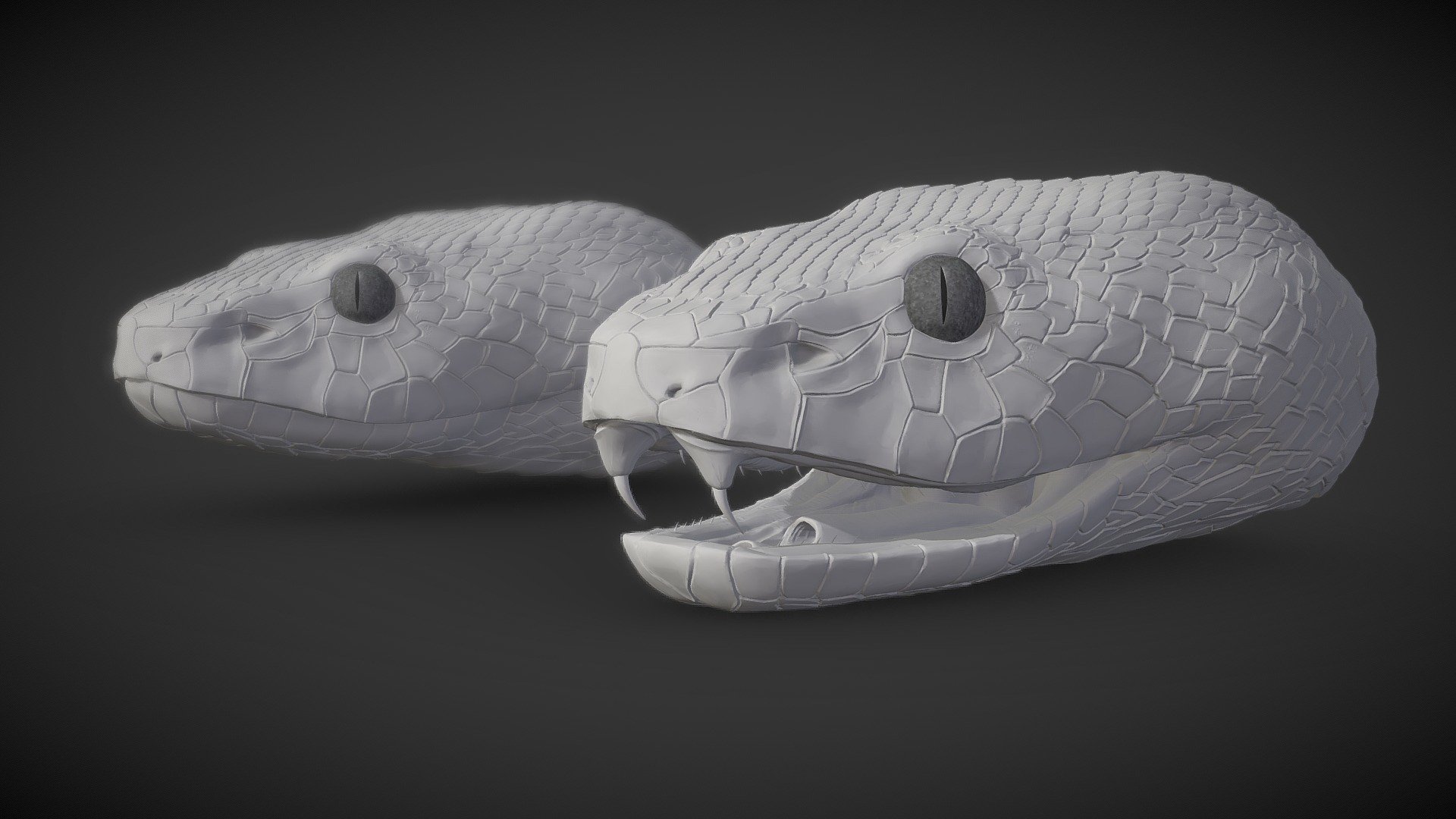 Snakes 3D models - Sketchfab