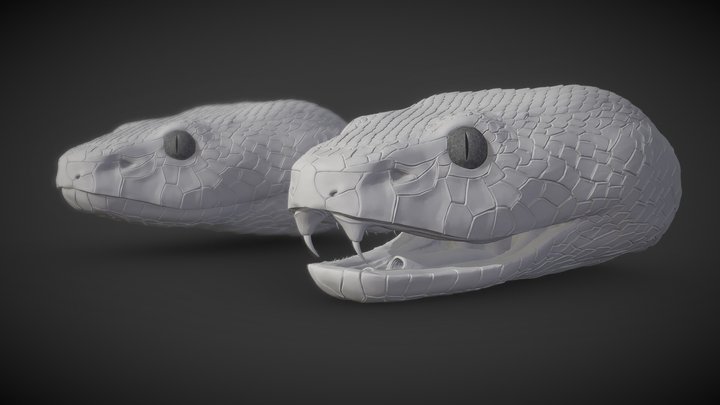 Snake Heads - 3D Printable 3D Model