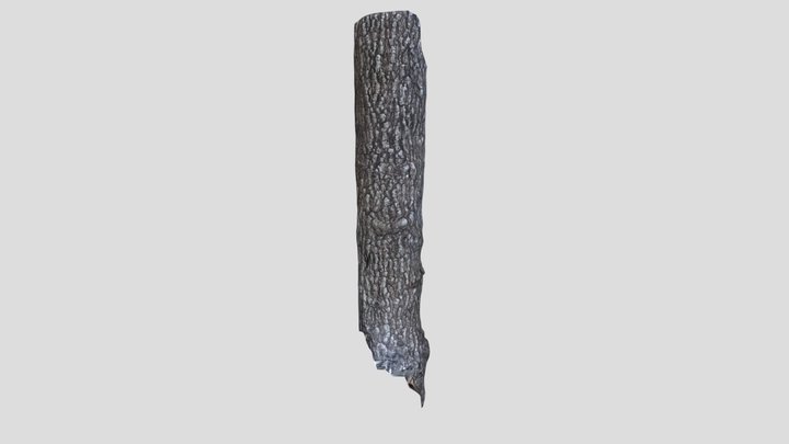 3D Tree 3D Model