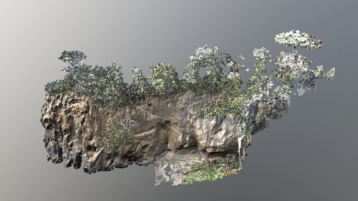 Mesh Golfo del Pecoriello (filtrata) 3D Model