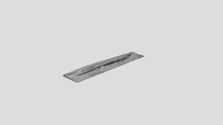 Assateague Island Shipwreck Debris 3D Model