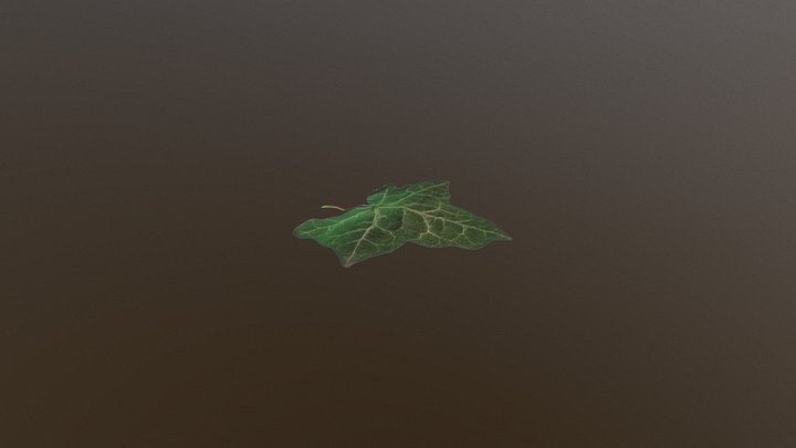 leaf 3D Model