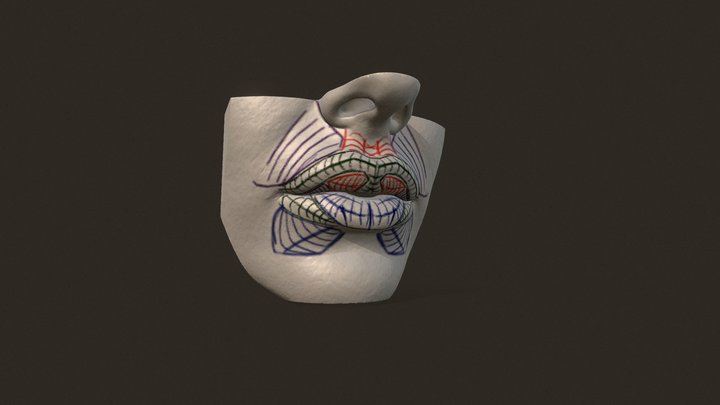 губы женские 3D Model