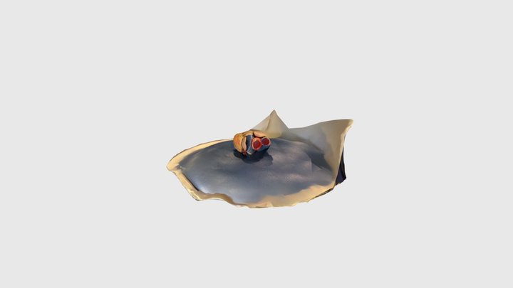 3D Scan of a Heart 3D Model