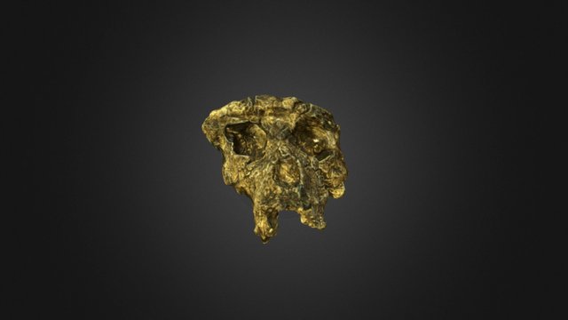 Sahelanthropus tchadensis, Toumaï 3D Model