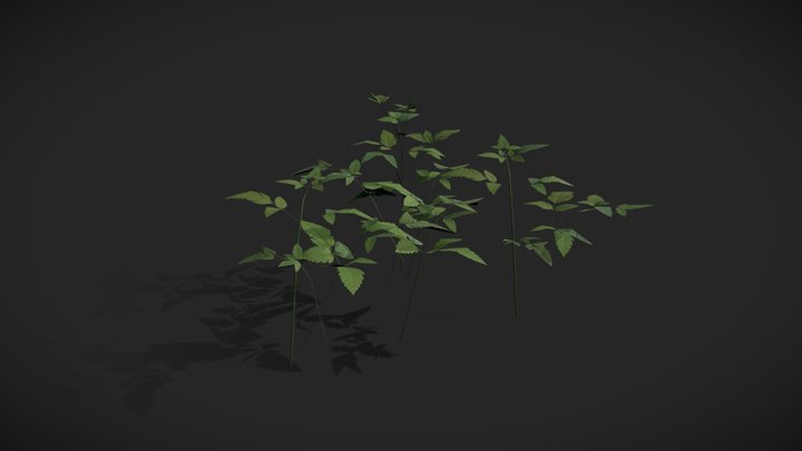 [Asset Test] 3D Model