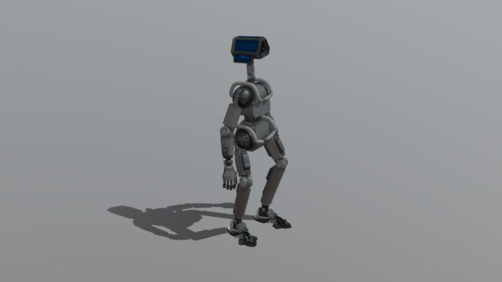 SOI_BOT 3D Model