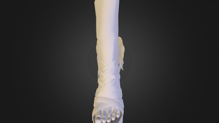 Straps Ankle Heels Foot 3D Model