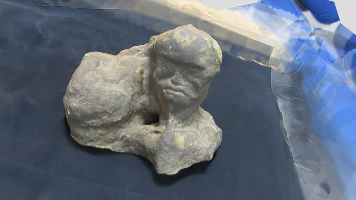Artefato da Cara do Macaco 3D Model