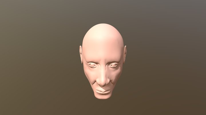Agent47_Face_Sculpt 3D Model