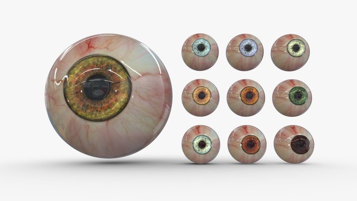 Realistic Human Eyes With Cornea and Sclera - V1 3D Model