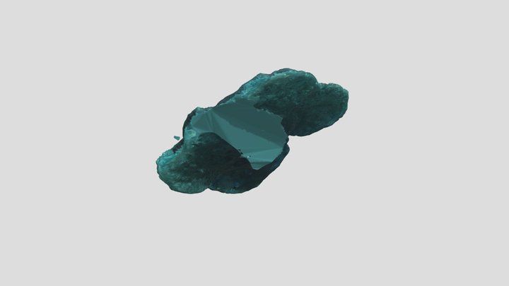 coral2015 3D Model