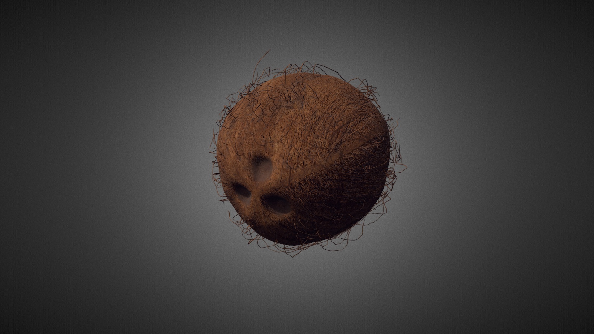 3D model Coconut - This is a 3D model of the Coconut. The 3D model is about a round brown object with a hole in it.