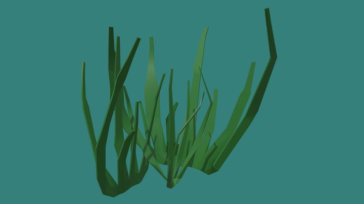 Sea Weed 3D Model