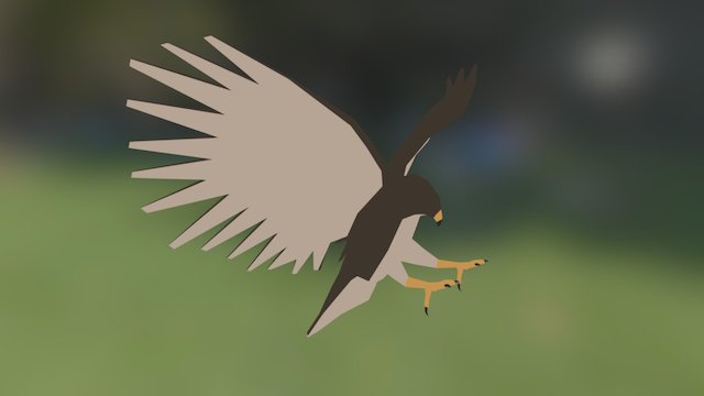 LP Hawk 3D Model
