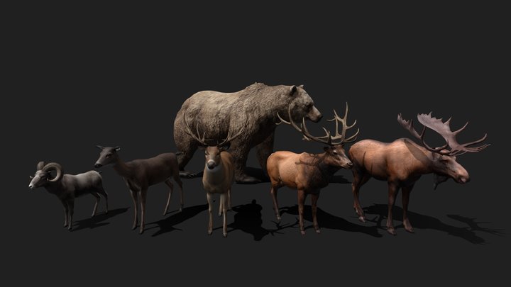 Realistic Animals PACK 3D Model