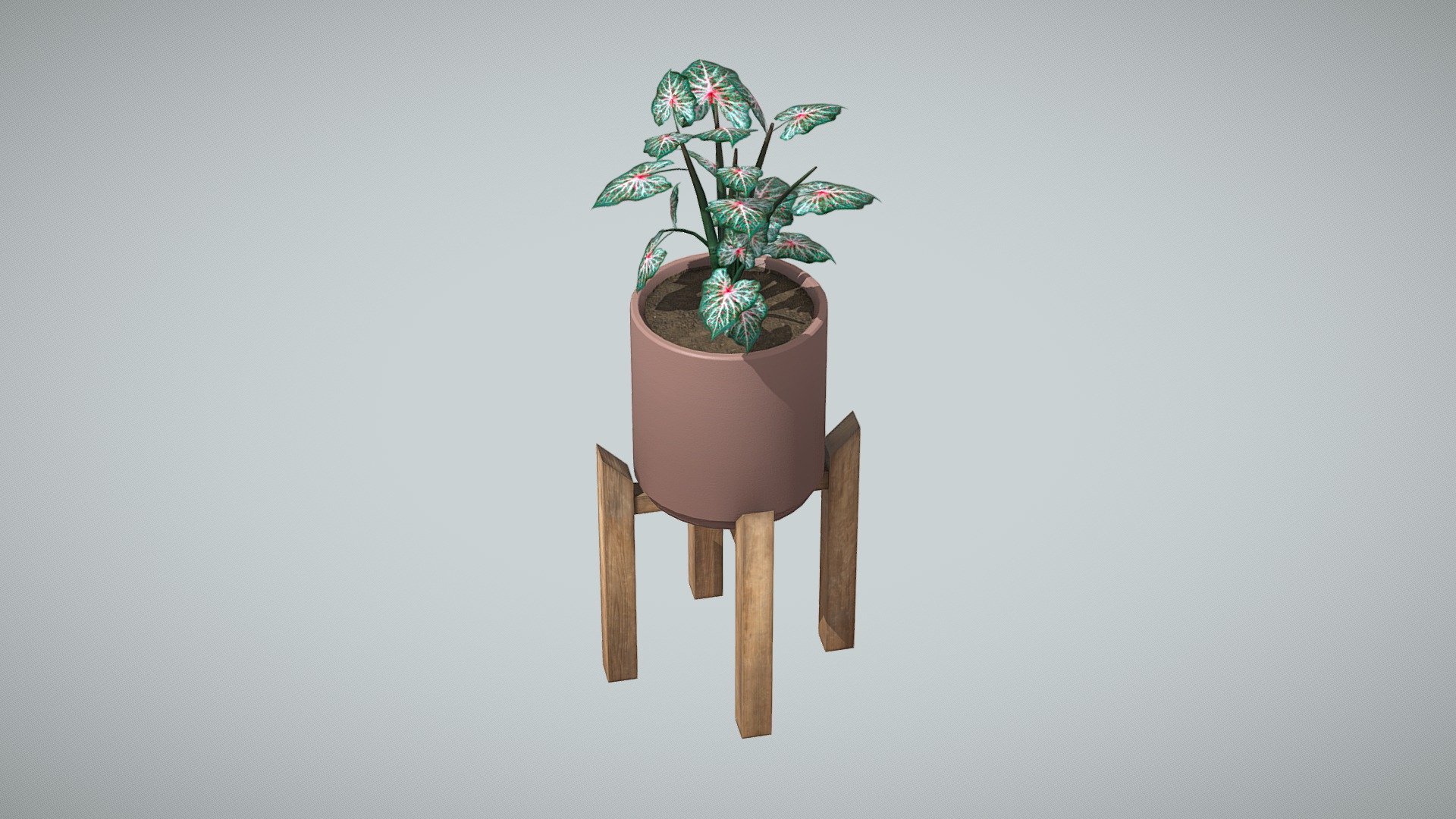 Indoor Plant - Download Free 3D model by Outlier Spa (@outlier_spa ...