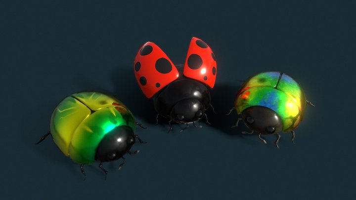 Bug 3D Model