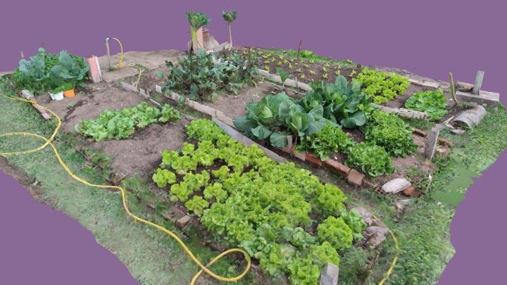 Horta doméstica (Bento Gonçalves - RS) 3D Model