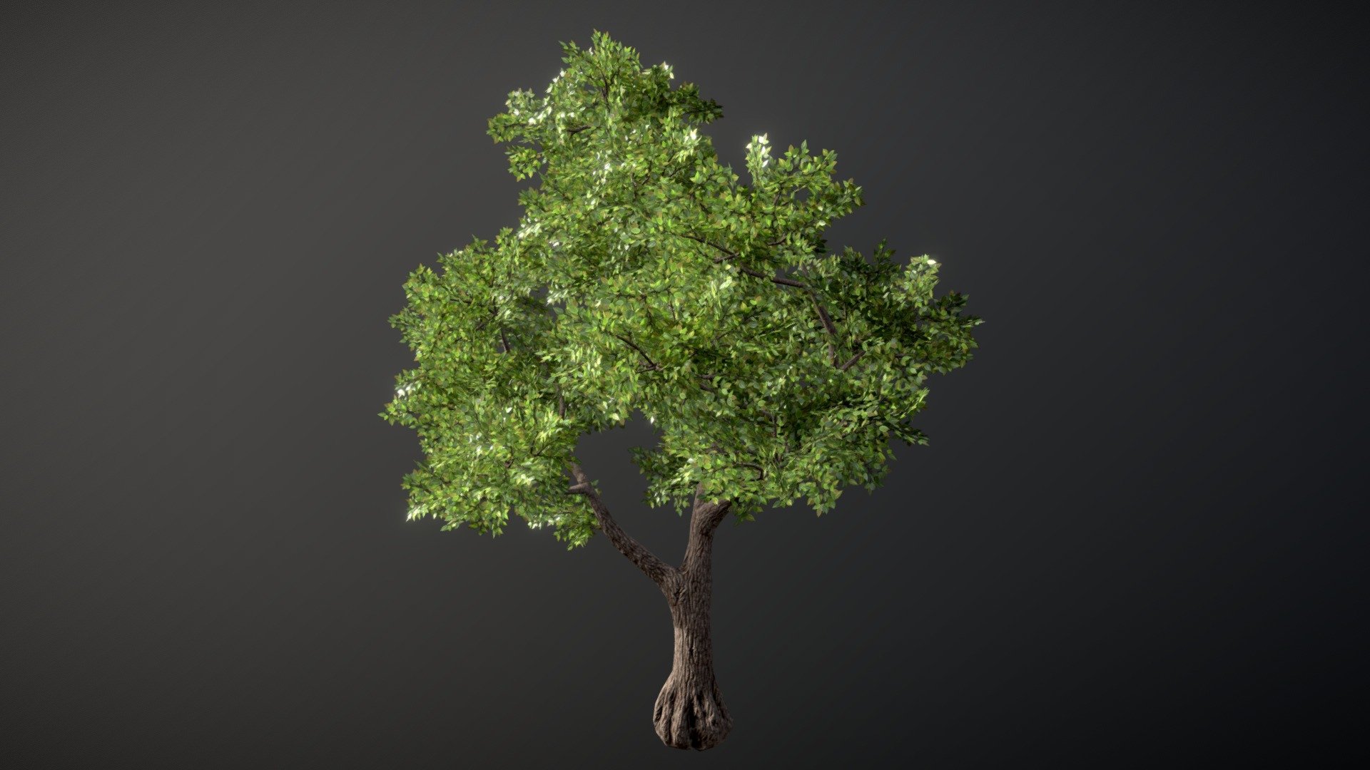 Realistic Tree - Download Free 3D model by Daniel (@danielpetrov ...