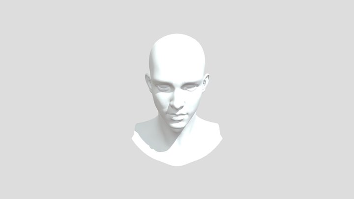 Face 3D Model