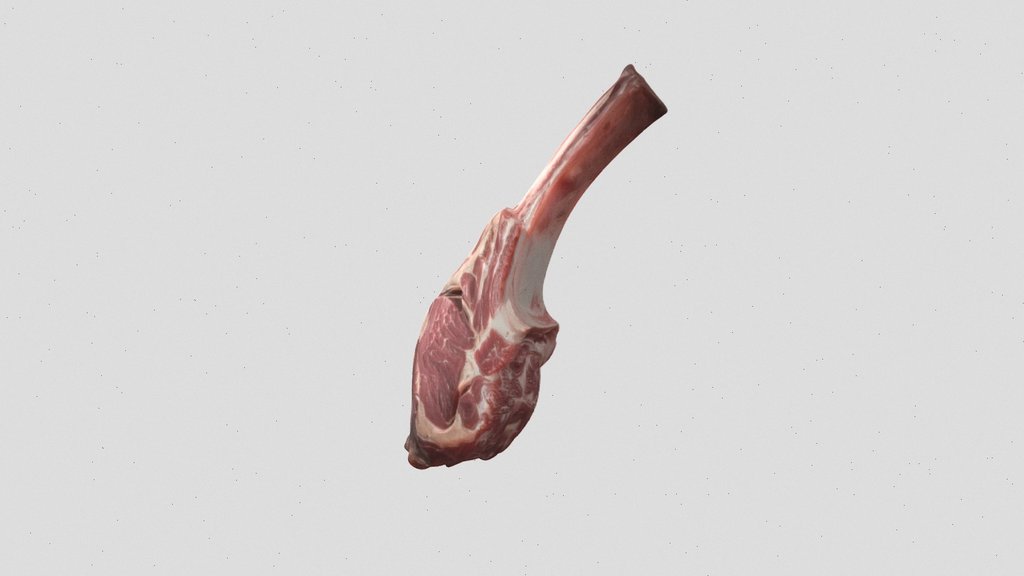 bone-in meat cut 3d model