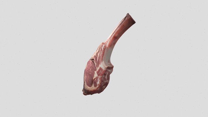 bone-in meat cut 3d model