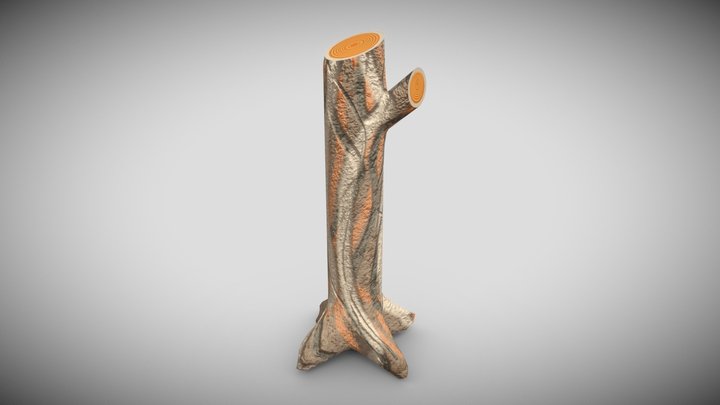Tree Trunk Cut Branches 3D Model