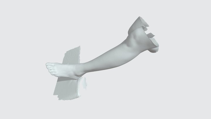 [EinScan H] Leg – Free 3D Model STL