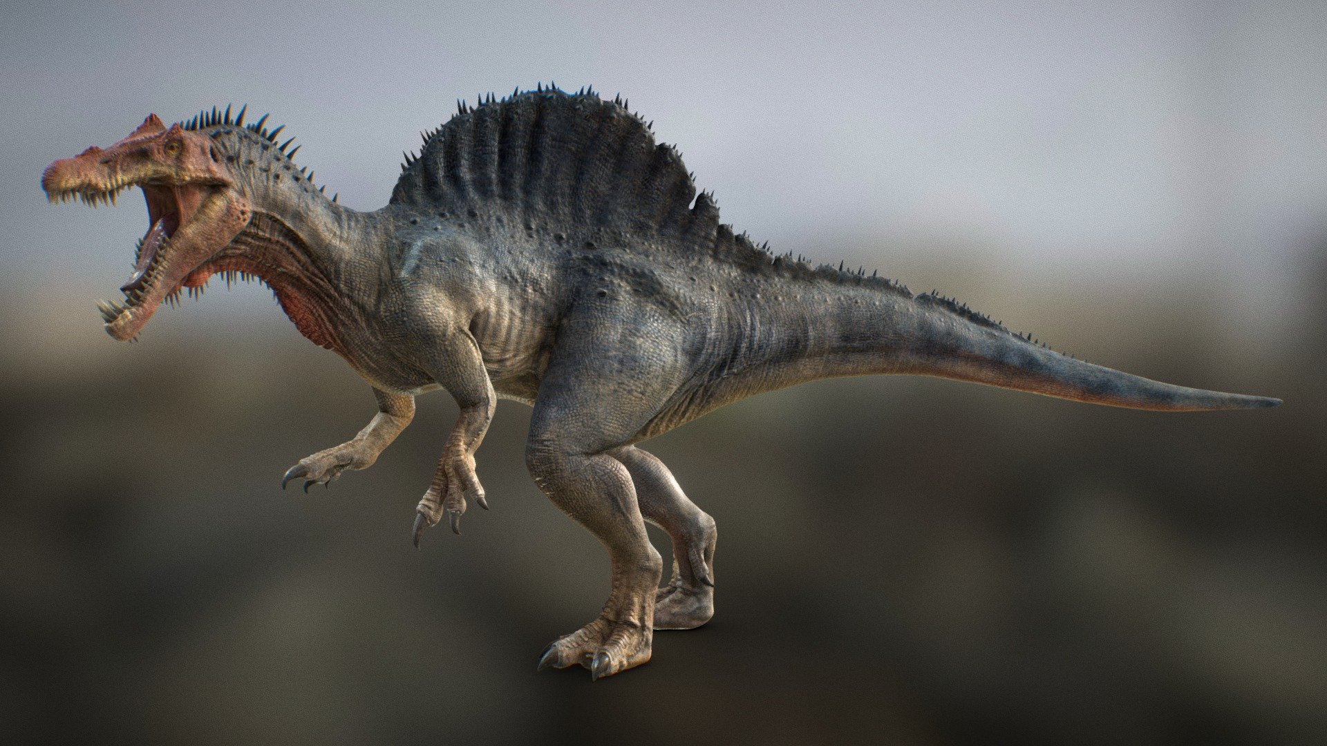 Большой динозавр хищник. Динозавр Спинозавр. Спинозавр Египетский. Spinosaurus maroccanus. Спинозавр парк Юрского периода 3.