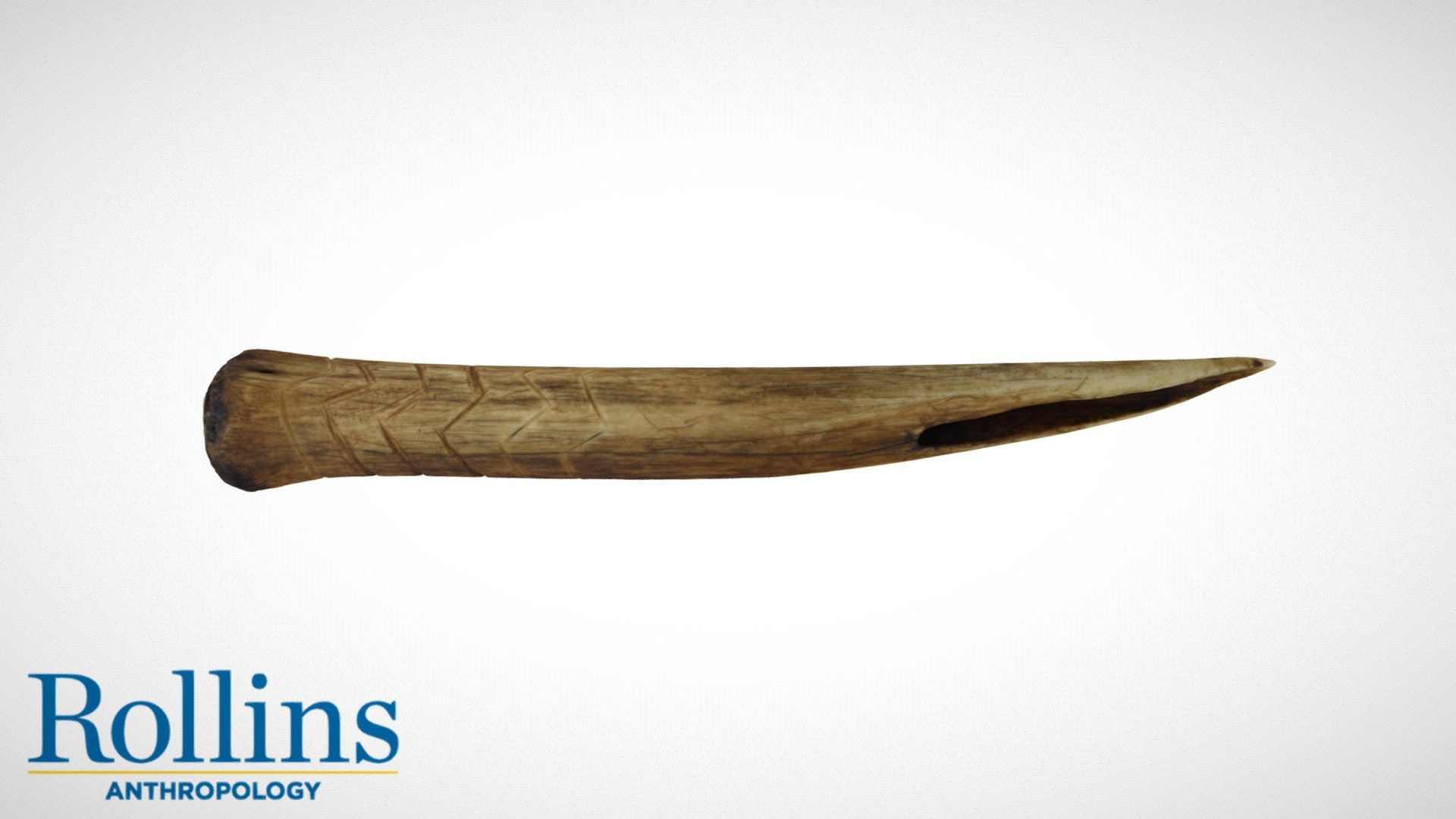 Bone Dagger