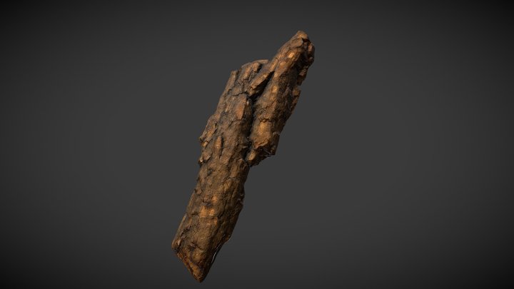Bark Photogrammetry 3D Model